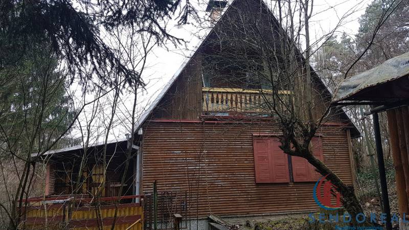 Drevená chata obklopená stromami 